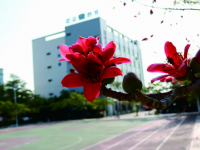 珠海歐亞技工學(xué)校2020年學(xué)費(fèi)、收費(fèi)多少
