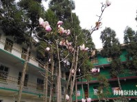 昆明現(xiàn)代科技學(xué)校2020年有哪些專業(yè)