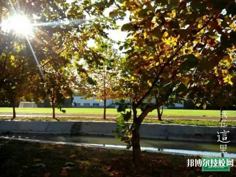 石家莊城市經(jīng)濟(jì)職業(yè)學(xué)院2020年招生錄取分?jǐn)?shù)線