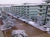 思茅衛(wèi)生學(xué)校2020年招生錄取分?jǐn)?shù)線