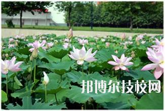 石家莊城市經(jīng)濟職業(yè)學(xué)院怎么樣、好不好