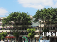 梧州電子科技職業(yè)技術(shù)學(xué)校2020年招生簡(jiǎn)章