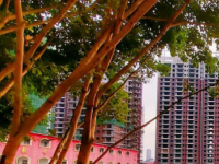 梧州電子科技職業(yè)技術(shù)學(xué)校2020年招生錄取分?jǐn)?shù)線