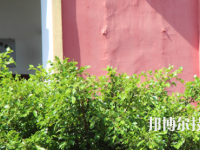 梧州電子科技職業(yè)技術(shù)學(xué)校2020年報(bào)名條件、招生要求、招生對(duì)象