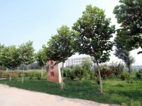 衡水科技工程學校2020年招生計劃