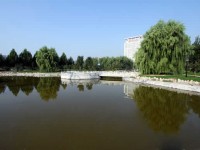 衡水科技工程學校2020年有哪些專業(yè)