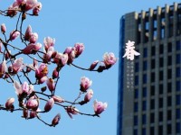 余姚第四職業(yè)技術(shù)學(xué)校2020年招生計(jì)劃