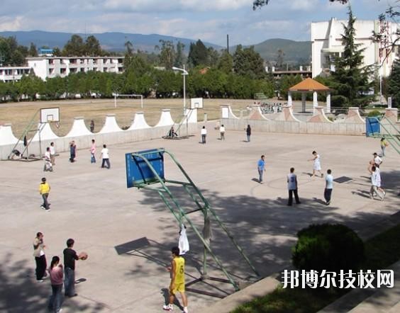 楚雄醫(yī)藥高等專科學校網(wǎng)站網(wǎng)址