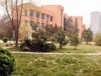 鄭州樹青醫(yī)學中等專業(yè)學校2023年招生錄取分數線