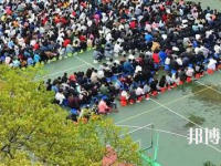 河池巴馬民族師范學(xué)校2020年招生辦聯(lián)系電話