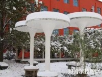鄭州樹青醫(yī)學中等專業(yè)學校2023年網站網址