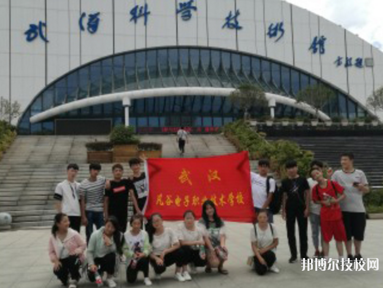 武漢凡谷電子職業(yè)技術(shù)學(xué)校6