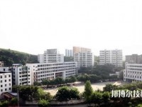 四川省鄰水縣興仁職業(yè)中學(xué)2020年有哪些專業(yè)
