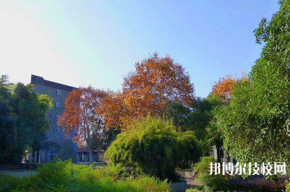 武漢農(nóng)業(yè)學(xué)校2020年有哪些專業(yè)