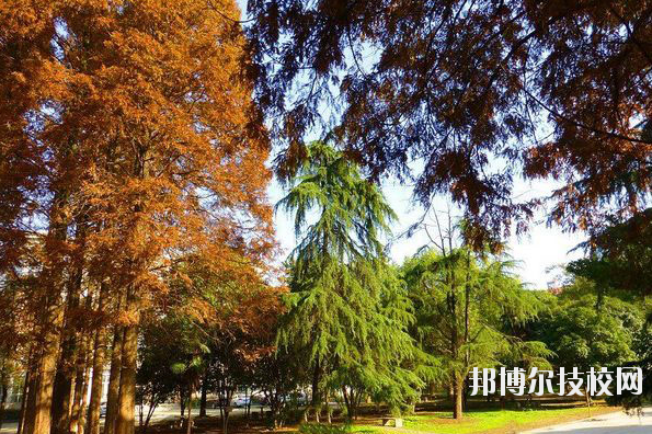 武漢農(nóng)業(yè)學(xué)校6