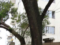 廣西烹飪學校網站網址