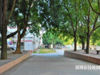 重慶公共交通技工學(xué)校2020年報(bào)名條件、招生要求、招生對(duì)象