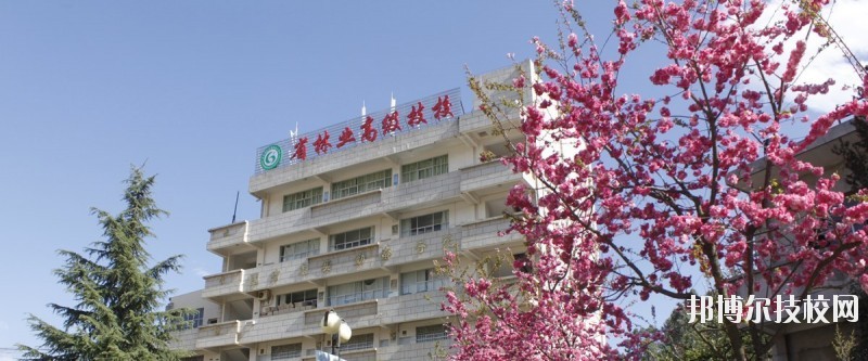 云南林業(yè)高級技工學(xué)校2020年學(xué)費(fèi)、收費(fèi)多少