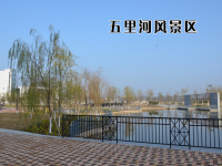 江蘇東臺(tái)中等專業(yè)學(xué)校2020年招生錄取分?jǐn)?shù)線