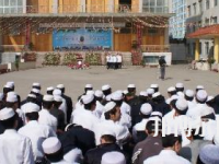 臨夏外國(guó)語學(xué)校2020年有哪些專業(yè)