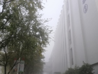 常熟濱江職業(yè)技術(shù)學(xué)校2020年招生計(jì)劃