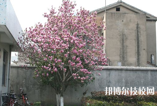 泰州博日電腦技術(shù)學校網(wǎng)站網(wǎng)址