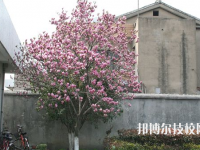 泰州博日電腦技術(shù)學(xué)校網(wǎng)站網(wǎng)址