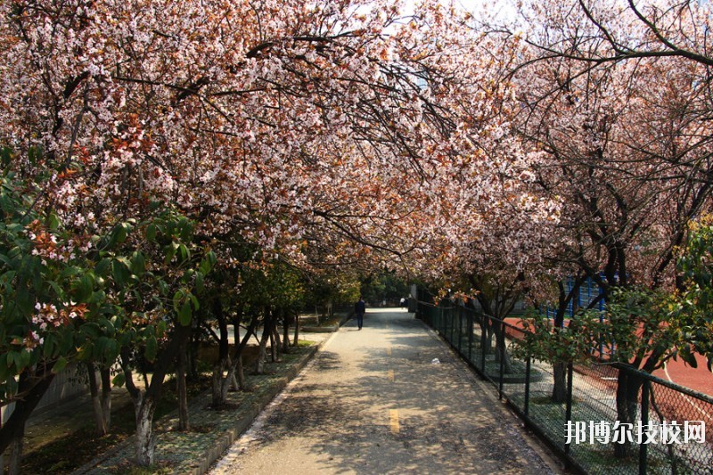 十堰科技學(xué)校網(wǎng)站網(wǎng)址