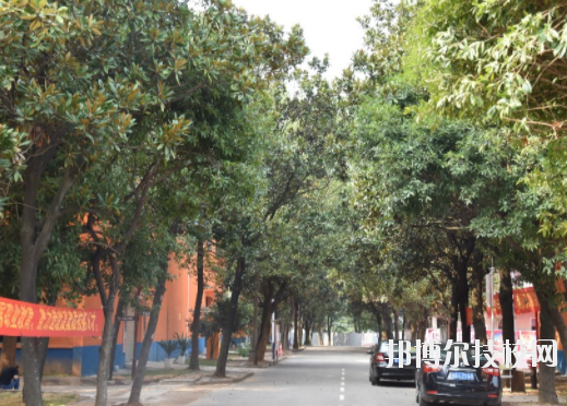 湖南長沙藝術(shù)學(xué)校2023年網(wǎng)站網(wǎng)址