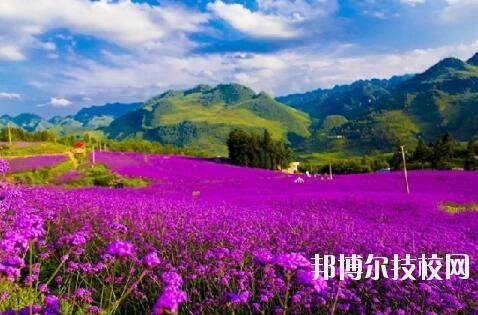 赫章縣中等職業(yè)學(xué)校地址在哪里