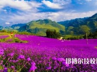 赫章縣中等職業(yè)學(xué)校2023年地址在哪里