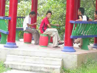 廣西民族中等專(zhuān)業(yè)學(xué)校2020年招生計(jì)劃