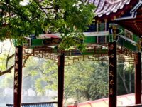 廣西民族中等專(zhuān)業(yè)學(xué)校2020年學(xué)費(fèi)、收費(fèi)多少
