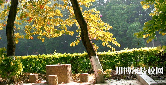 廣西民族中等專(zhuān)業(yè)學(xué)校地址在哪里
