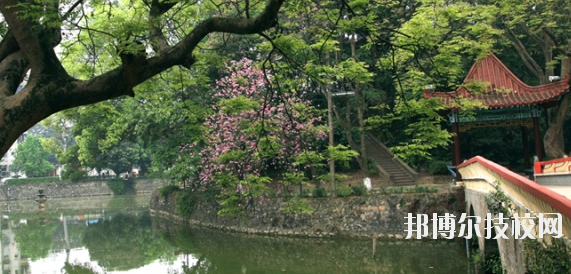 廣西民族中等專業(yè)學校網(wǎng)站網(wǎng)址 