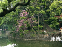 廣西民族中等專業(yè)學(xué)校網(wǎng)站網(wǎng)址