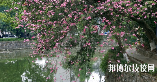 廣西民族中等專業(yè)學校怎么樣、好不好