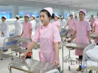 廣東潮州衛(wèi)生學校2020年有哪些專業(yè)