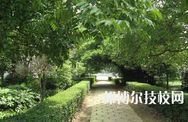 長(zhǎng)沙中等城鄉(xiāng)建設(shè)職業(yè)技術(shù)學(xué)校2023年報(bào)名條件、招生要求、招生對(duì)象