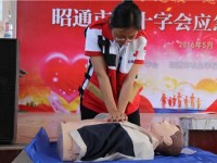 昭通農(nóng)業(yè)學(xué)校2020年招生錄取分?jǐn)?shù)線