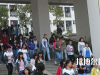 百色財(cái)經(jīng)職業(yè)技術(shù)學(xué)校2020年報名條件、招生要求、招生對象