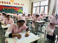 儀征技師學(xué)院2020年招生錄取分?jǐn)?shù)線