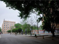 資陽(yáng)師范學(xué)校2020年招生計(jì)劃