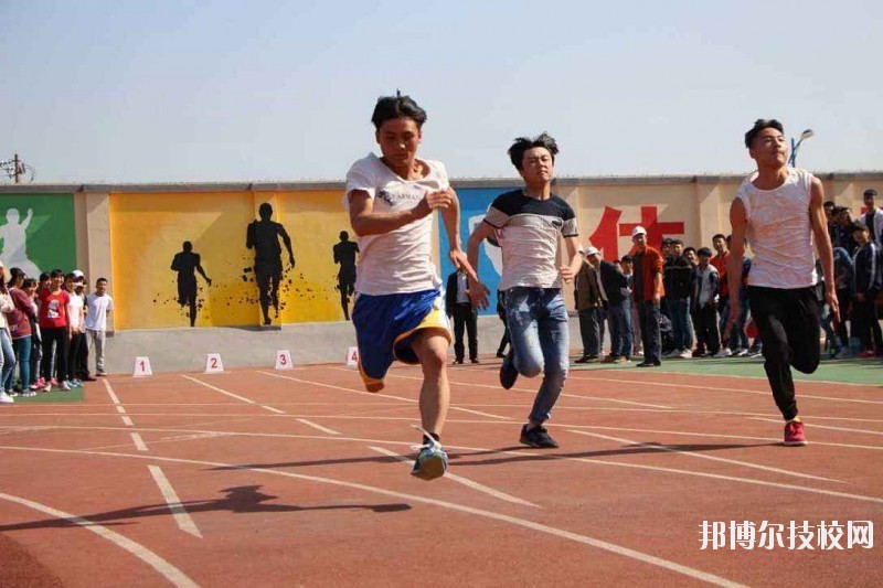 鳳翔職業(yè)教育中心網(wǎng)站網(wǎng)址 