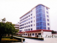 廣東新興中藥學(xué)校2020年招生辦聯(lián)系電話