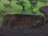 義烏國際商貿(mào)學(xué)校2020年招生計劃