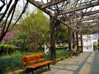 重慶紅春藤技工學(xué)校2020年招生錄取分?jǐn)?shù)線