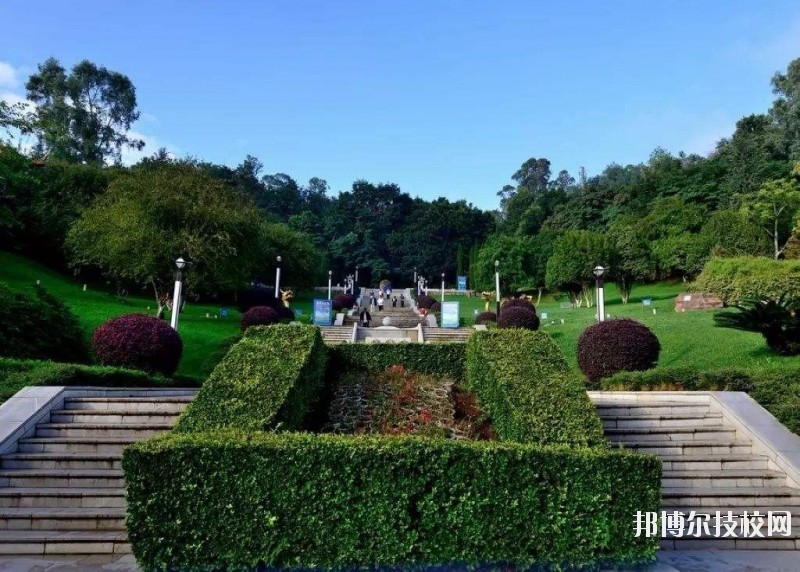 曲靖麒麟職業(yè)技術學校網站網址