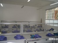 六盤水鐘山區(qū)職業(yè)技術(shù)學校2020年有哪些專業(yè)