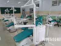 承德護理職業(yè)學院2020年報名條件、招生要求、招生對象